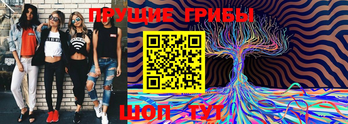Мариинск  Галлюциногенные грибы прущие грибы  Вход с VPN  Галлюциногенные грибы прущие грибы 